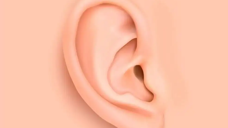 生物工程领域重大进展：3D打印耳朵首次成功移植