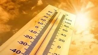 世界气象组织：今年是有记录以来人类史上最热一年
