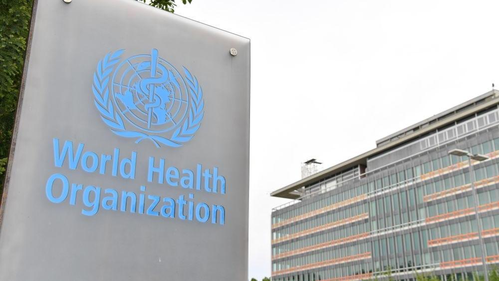 世卫组织呼吁建立禽流感病毒全球监测网络