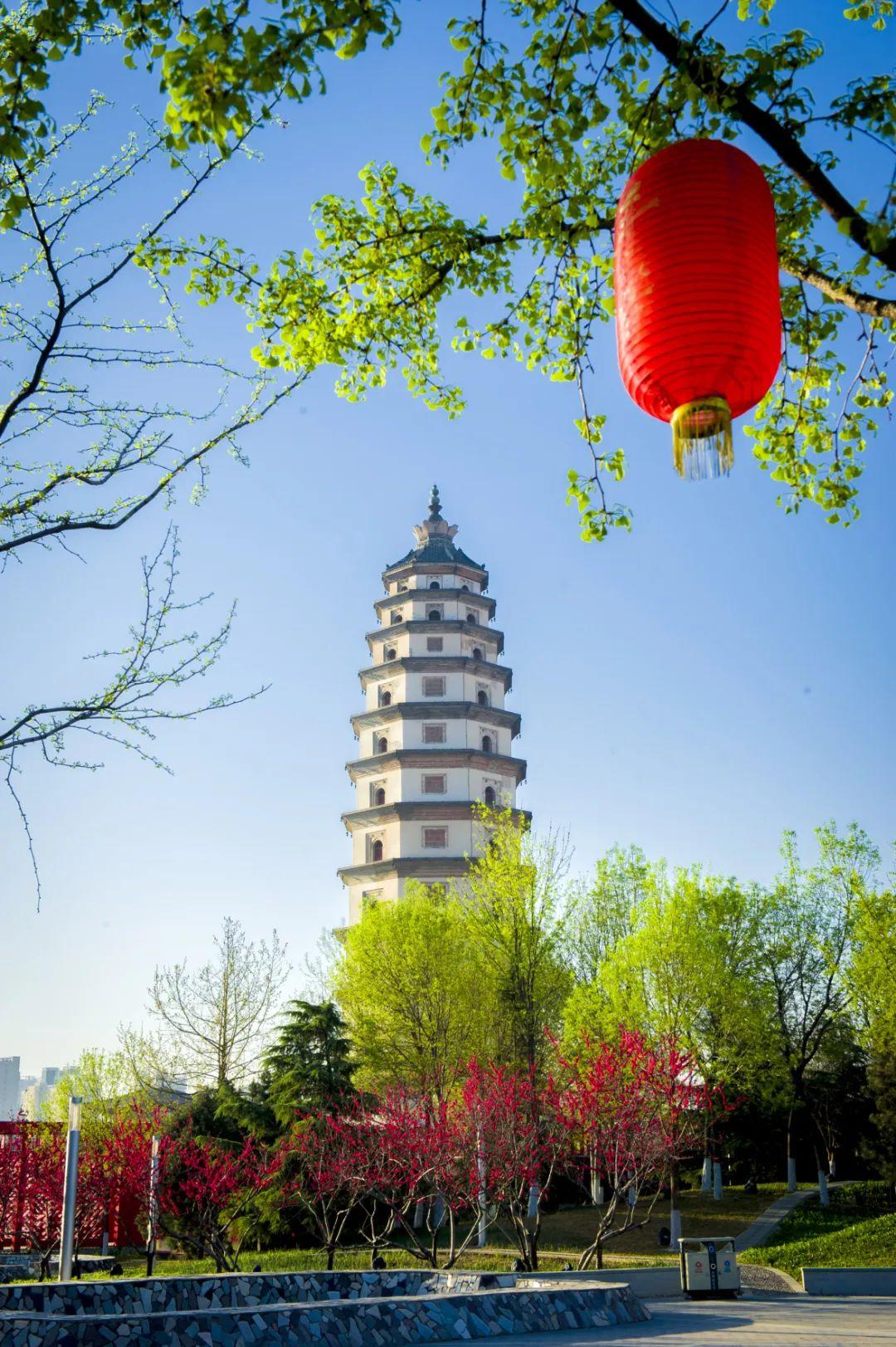 定州开元寺塔。白永民摄