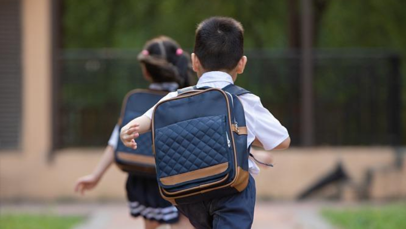 《中国少年先锋队队徽》国家标准6月正式实施