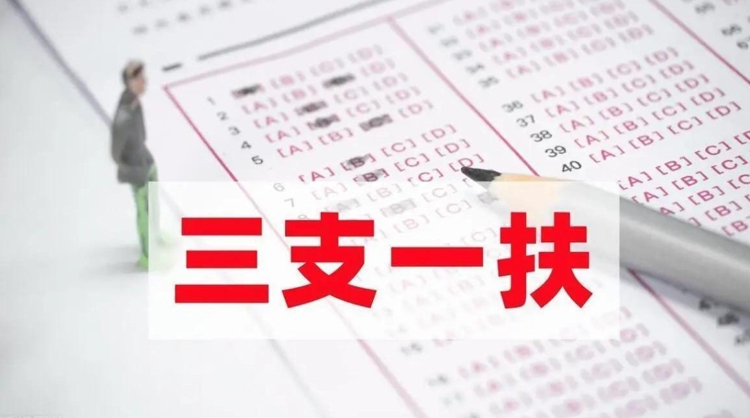 2025年“三支一扶”计划来了 一图了解→
