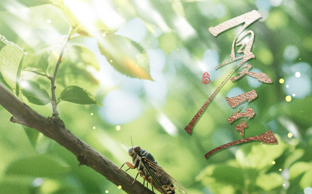 节令之美｜不觉盛夏至，骄阳绿意浓