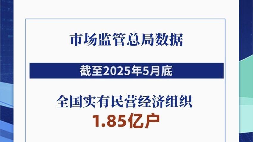 全国实有民营经济组织1.85亿户