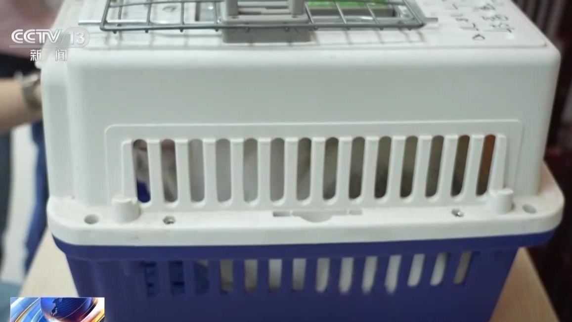 高铁航空齐推宠物托运服务，这些要求请注意