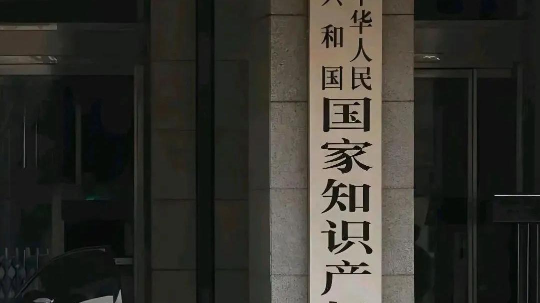 截至2024年底，国家知识产权局帮助出海企业挽回经济损失380.4亿元