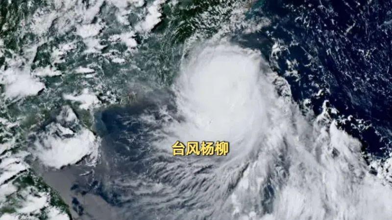 台风“杨柳”将于今晚进入广西 局地有大暴雨或特大暴雨