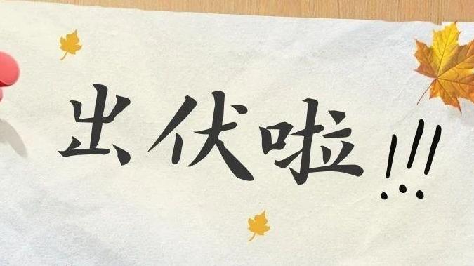 明日出伏！养生要点早知晓，助您安稳度金秋~
