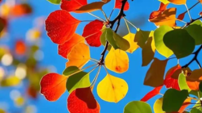 “秋冻”“贴秋膘”有讲究！专家回应秋季养生热门话题