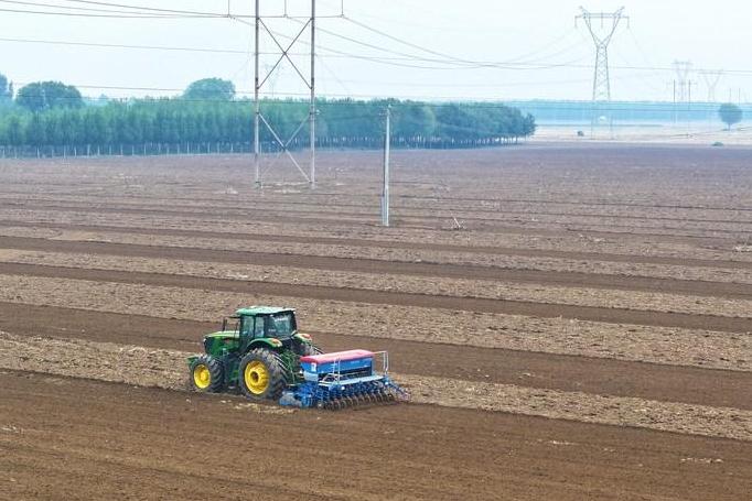 河北千方百计落实小麦播种面积
