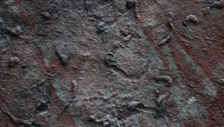 科学家发现迄今最古老的复杂三维潜穴系统