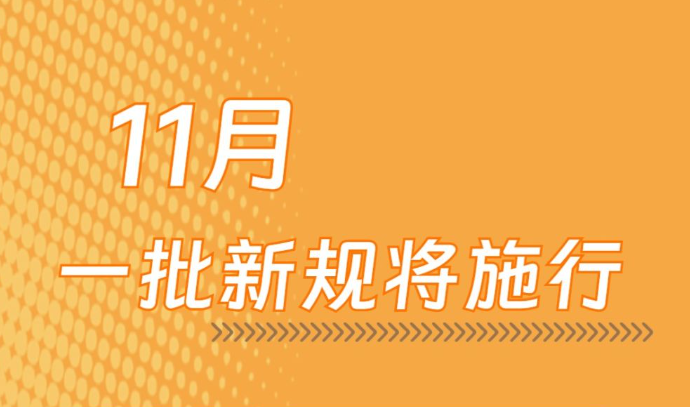 11月新规