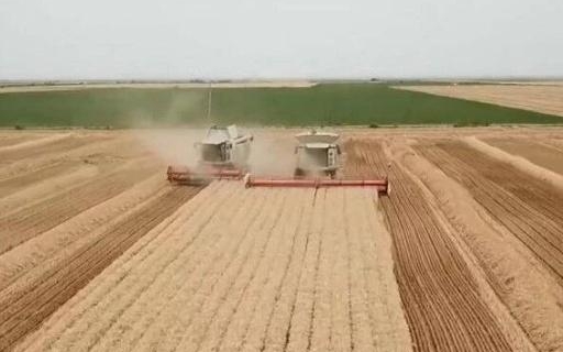 中国6项全球重要农业文化遗产获联合国粮农组织授牌