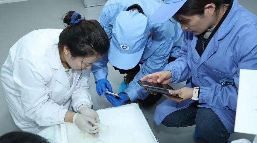 太空鼠回来了!中国空间站第九批空间科学实验样品顺利返回