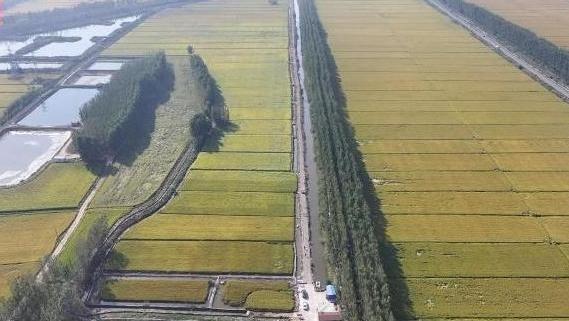 “十四五”期间我国新建改造提升高标准农田4.6亿亩