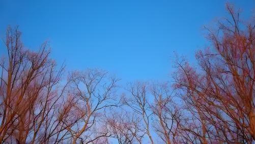 我国大部晴朗干燥回暖模式持续 多地较常年偏暖10℃