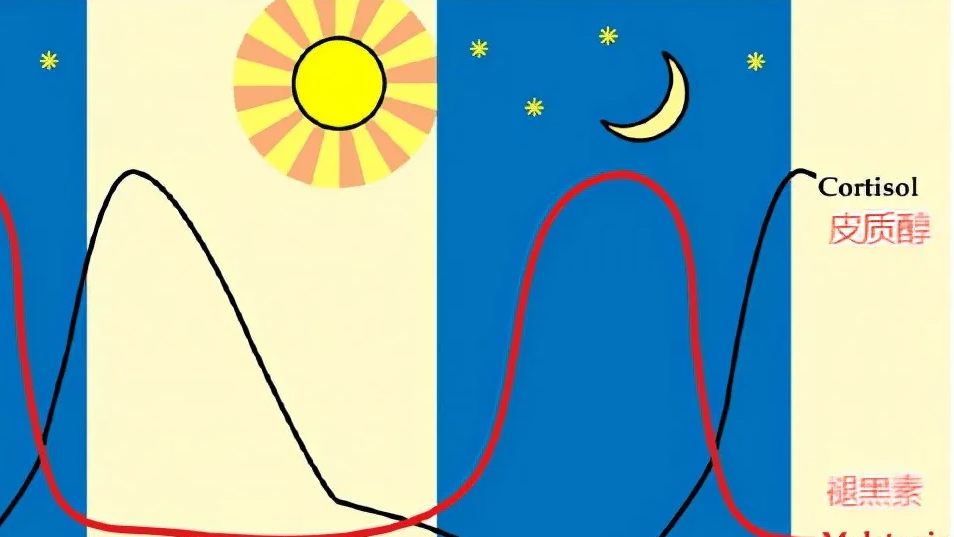 晚上11点后睡觉的人，这种睡眠激素正在流失