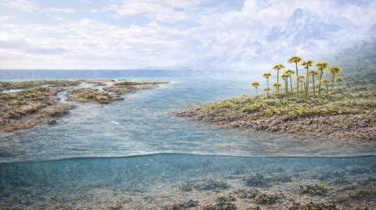 我国科研团队新发现:4亿多年前早期植物已在陆地大规模扩张