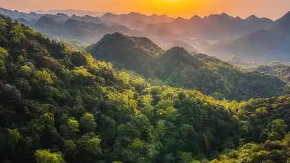 人均“拥有”100棵树!我国成为全球增绿最多最快国家