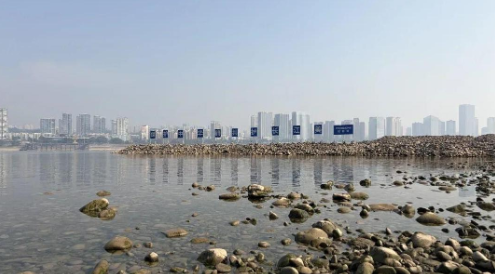 全人工繁殖的中华鲟孵化出首批鱼苗