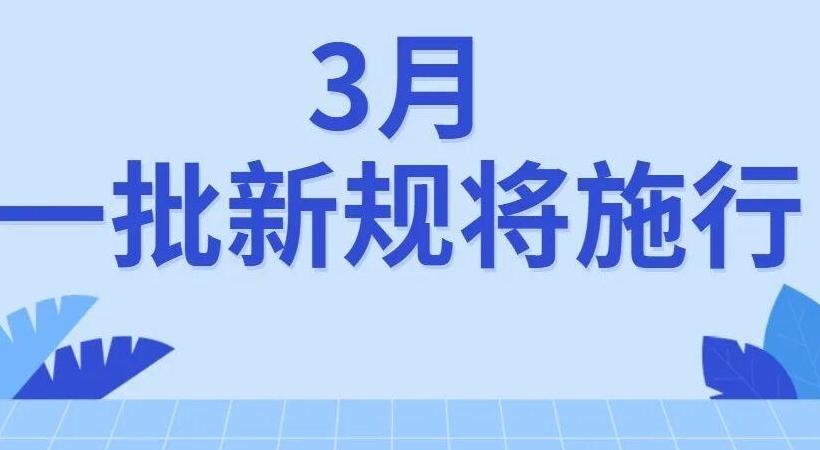 3月新规,来了!