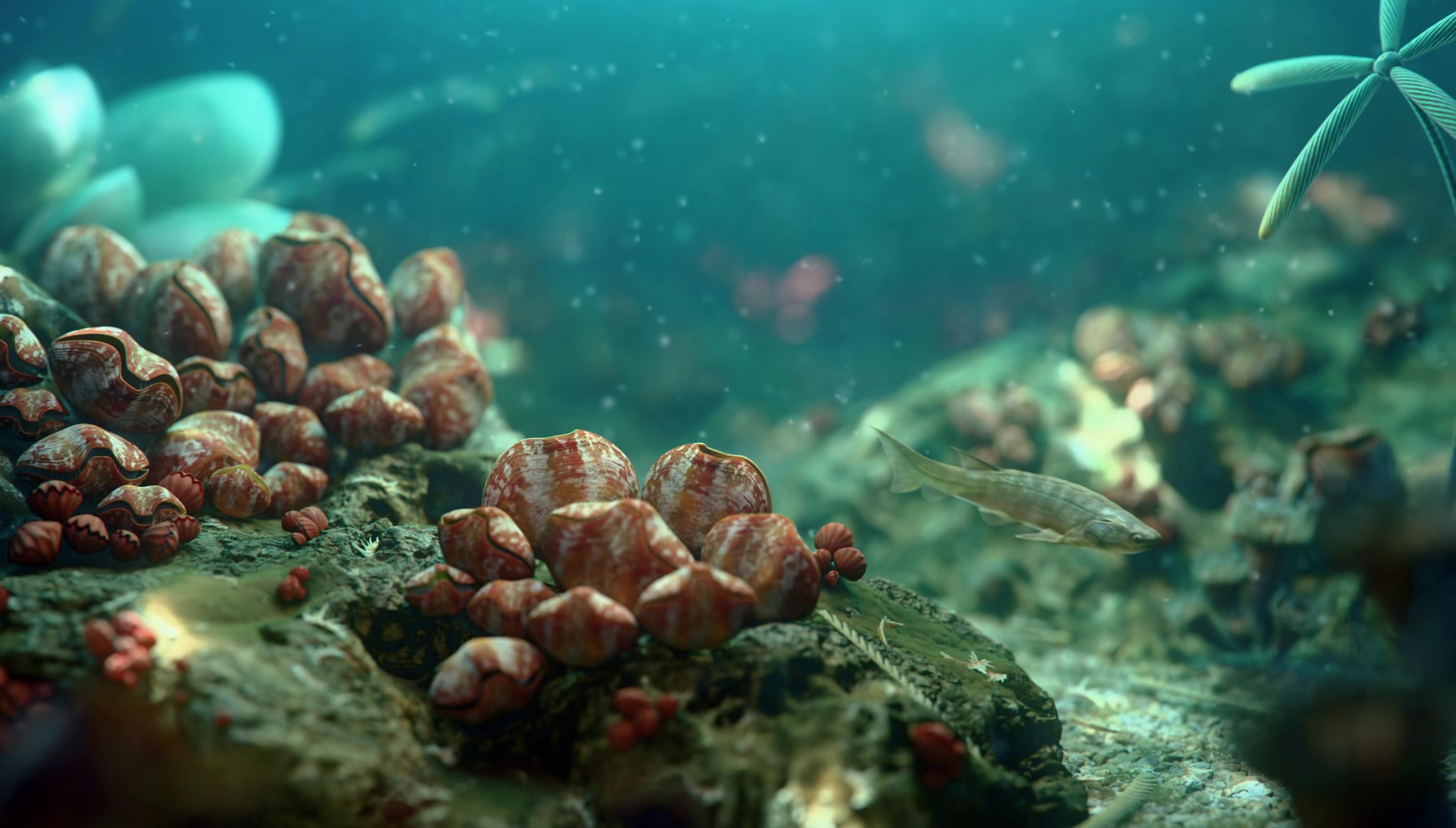 重大发现！4亿年前两块化石中，敲出“剁椒鱼头”