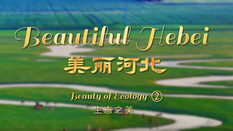 “Beautiful Hebei”Short Video Series丨Beauty of Ecology②