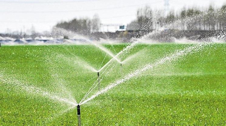 当前春灌累计灌溉面积达5700万亩