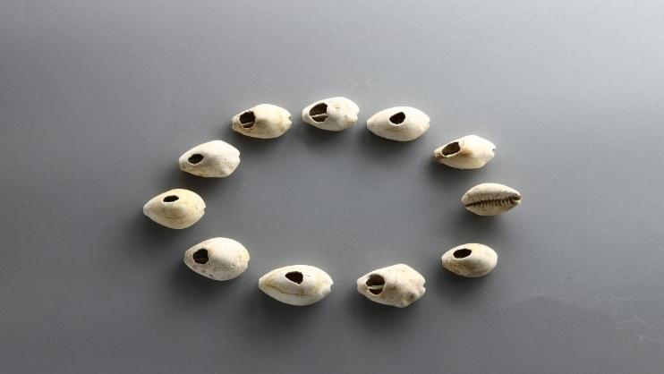 陕西蒋刘遗址发现西周时期遗存