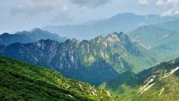 我国森林面积和森林蓄积连续40年双增长