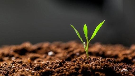 自然资源部最新报告:我国土壤正变得更肥沃更“健康”