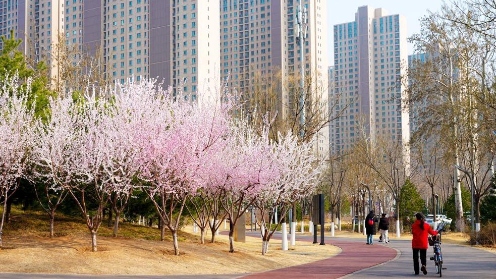 这些城市，今年全面“体检”