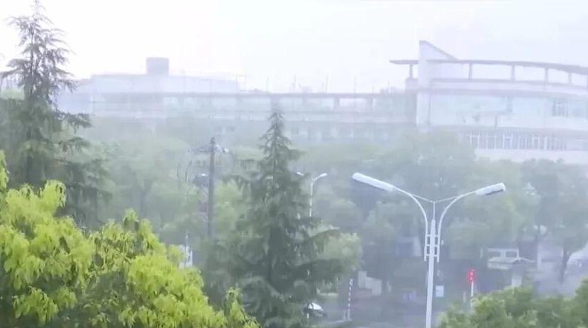 为何今年暴雨来得又早又猛?专家解读