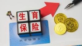 2025年全国生育保险参保人数2.6亿人