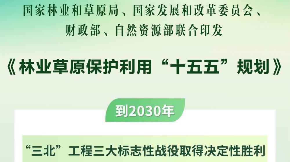 “十五五”林草保护利用规划发布
