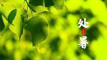节令之美|处暑逢末伏收官 迎来晚出伏