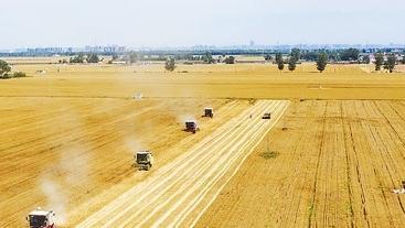 我国力争到2030年粮食综合生产能力稳步提升