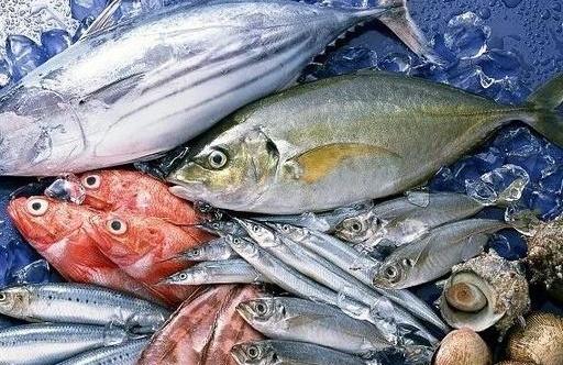 关于食用深海鱼类的提示