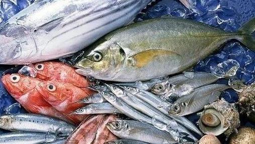 关于食用深海鱼类的提示